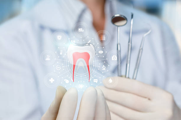 Best Veneers and Lumineers  in Allyn, WA
